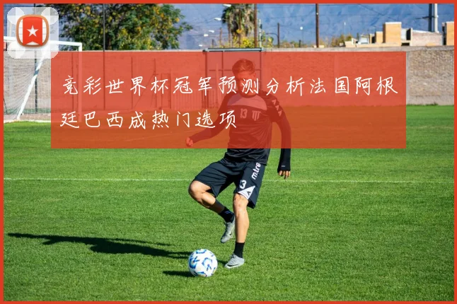 竞彩世界杯冠军预测分析法国阿根廷巴西成热门选项