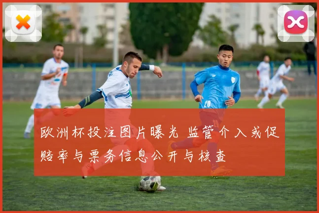 欧洲杯投注图片曝光 监管介入或促赔率与票务信息公开与核查