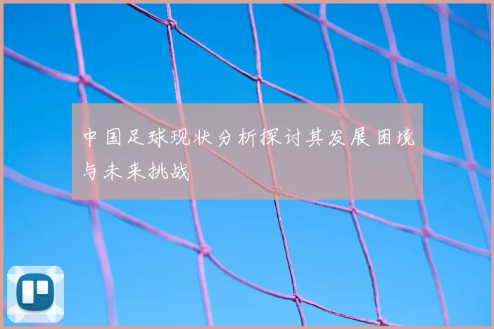 中国足球现状分析探讨其发展困境与未来挑战