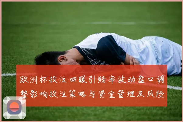 欧洲杯投注回暖引赔率波动盘口调整影响投注策略与资金管理及风险收益