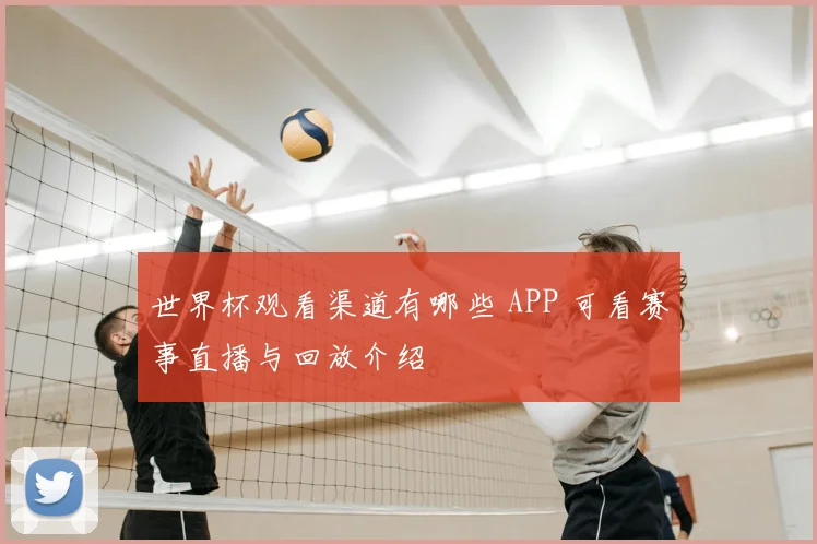 世界杯观看渠道有哪些 APP 可看赛事直播与回放介绍