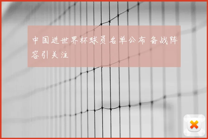 中国进世界杯球员名单公布 备战阵容引关注