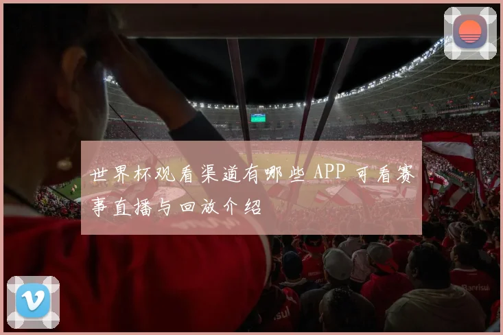 世界杯观看渠道有哪些 APP 可看赛事直播与回放介绍