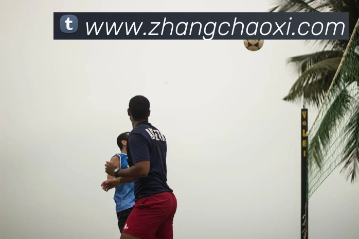 安博app登录入口网页版平台生态图